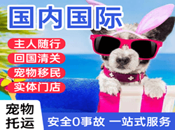 张家界荷花航空邮寄国际宠物托运 【国